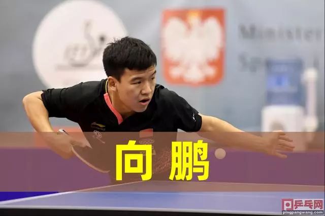 高亭宇的个
