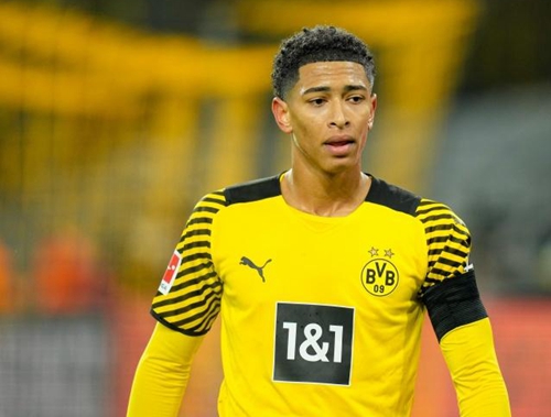 篮板保护 篮板保护